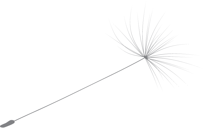 Seed Parachute