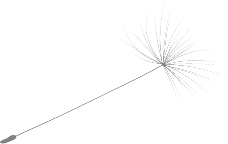 Seed Parachute
