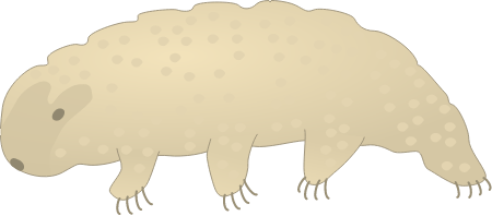 Tardigrade