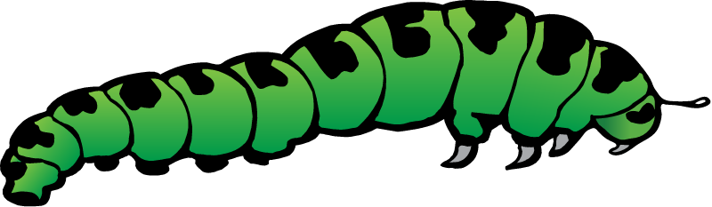 Caterpillar