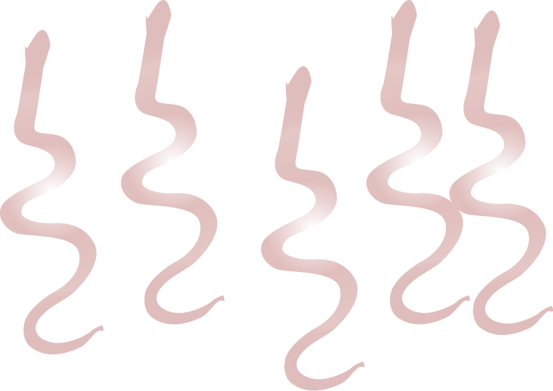 Worms