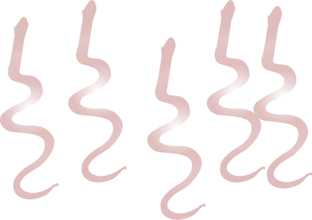 Worms