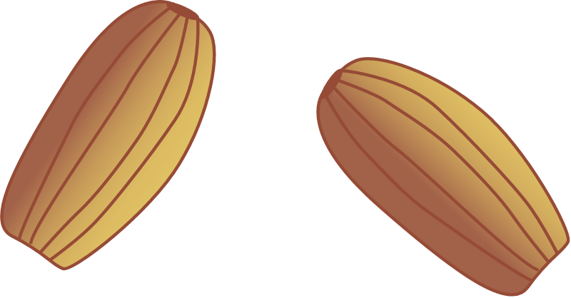Zostera Capricornii Seeds