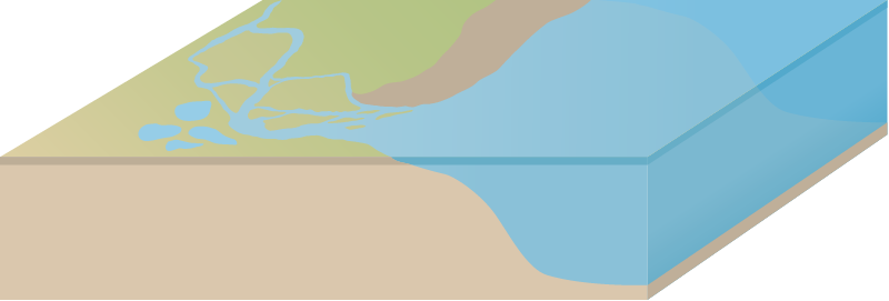 Estuary 3d Braided River and Mudflat