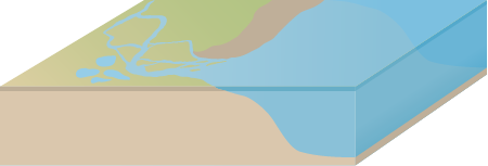 Estuary 3d Braided River and Mudflat