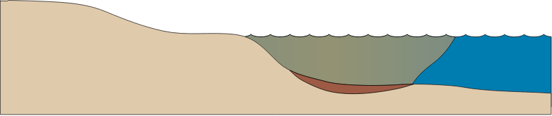 Estuary 2d Salt Wedge