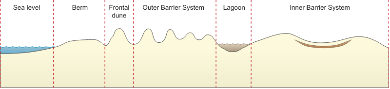 Coastline 2d Sand Dune System with Lagoon
