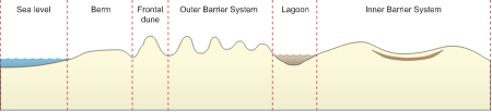 Coastline 2d Sand Dune System with Lagoon