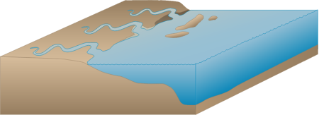 Coastline 3d River Comparison