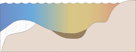 Coastline 2d Clastic and Carbonate Sediment