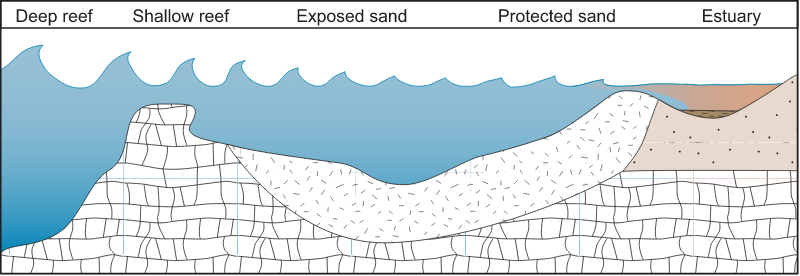 Coastline 2d Estuary to Deep Reef