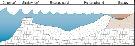 Coastline 2d Estuary to Deep Reef