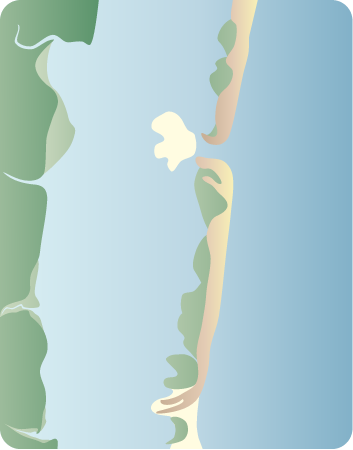 Coastline 2d Barrier Island with Microtidal Energy