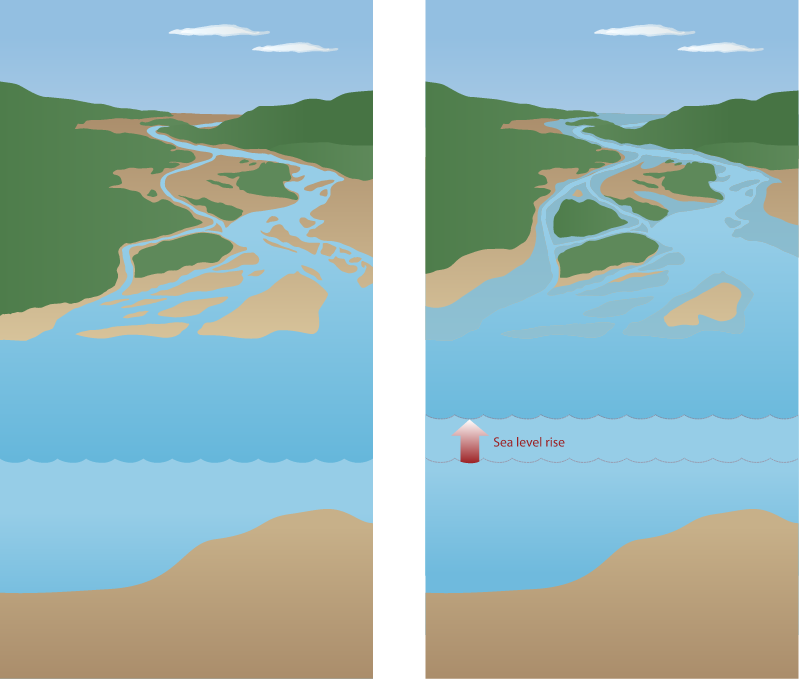 Estuary 3d Sea Level Rise Diptych