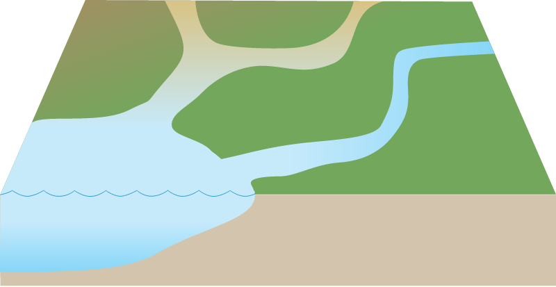 Coastline 3d River Mouths