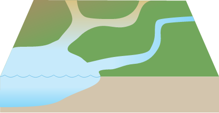 Coastline 3d River Mouths