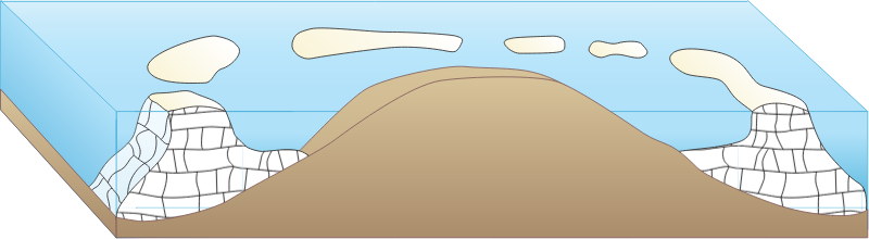 Reef 3d Volcanic Island with Barrier Reef