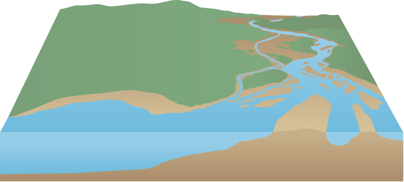 Estuary 3d Braided River Mouth
