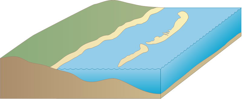 Coastline 3d Barrier Islands