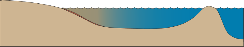 Estuary 2d Closed and Shallow
