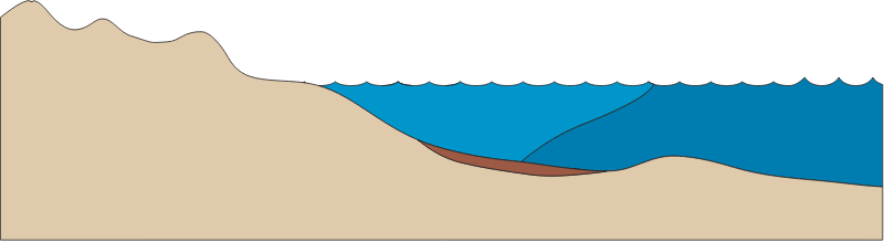 Estuary 2d Dunes and Salt Wedge