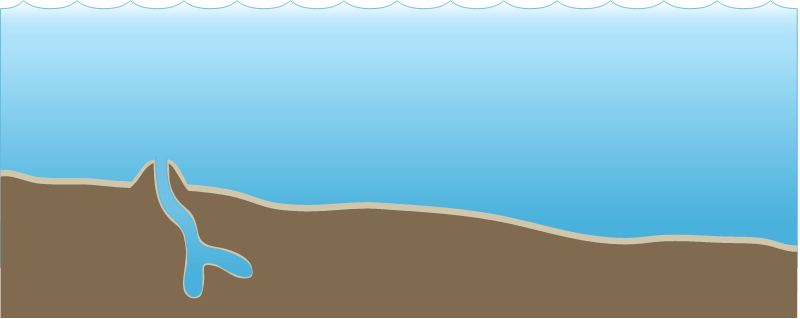 Habitat 2d Subtidal Mud