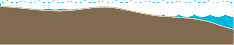 Habitat 2d Intertidal Mudflat