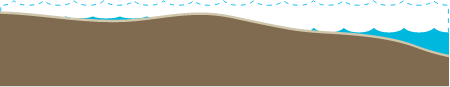 Habitat 2d Intertidal Mudflat