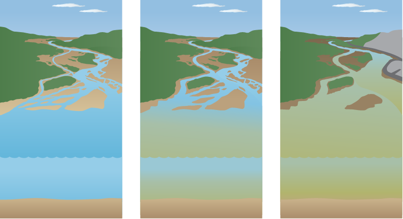 Estuary 3d River Mouth Triptych