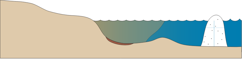 Estuary 2d Barrier Island