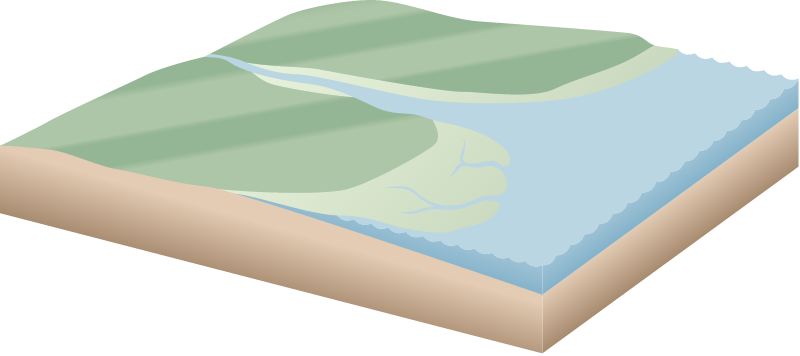 Coastline 3d Comparison High vs Low Marsh