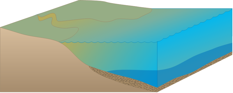 Estuary 3d Stratified Water Column