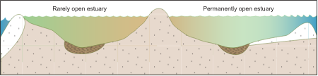 Estuary 2d Rarely vs. Permanently Open