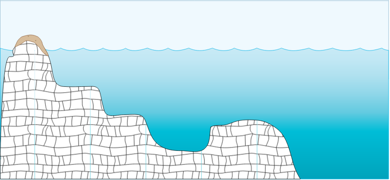 Habitat 2d Reef