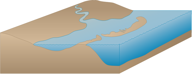 Coastline 3d River and Barrier Islands