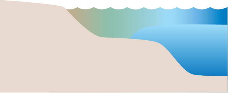 Coastline 2d Saltwedge