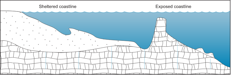 Coastline 2d Sheltered vs. Exposed with Calcareous Sediments