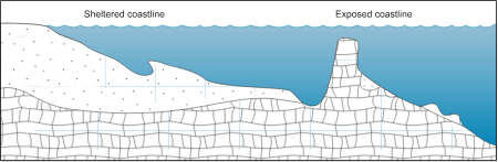 Coastline 2d Sheltered vs. Exposed with Calcareous Sediments