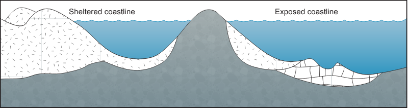 Coastline 2d Sheltered vs. Exposed with Siliceous Sediments