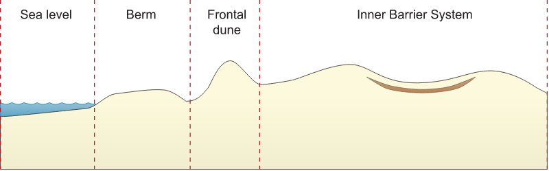 Coastline 2d Sand Dune System