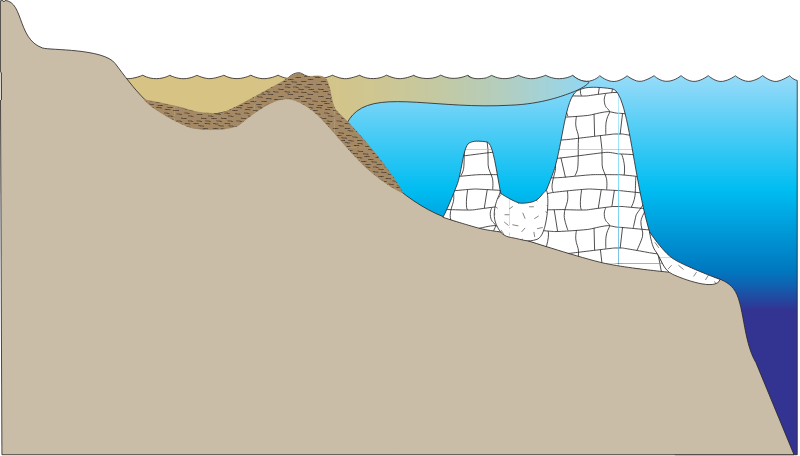 Coastline 2d Closed Estuary and Nearshore Reefs