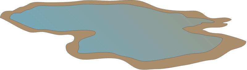 Pond