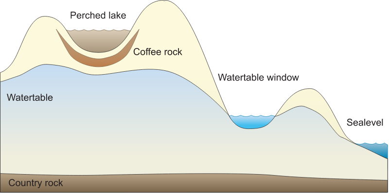 Lake 2d Perched Lake and Water Table Window