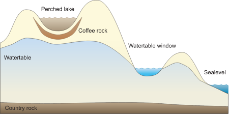 Lake 2d Perched Lake and Water Table Window