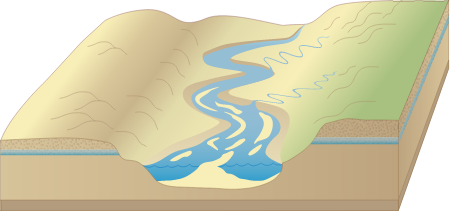River 3d Braided with Incoming Streams