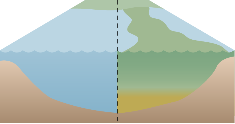 River 3d Comparison Healthy vs Eutrophic