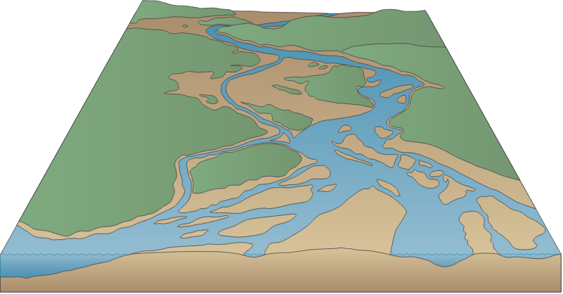 River 3d Braided Coastal