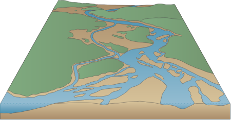 River 3d Braided Coastal