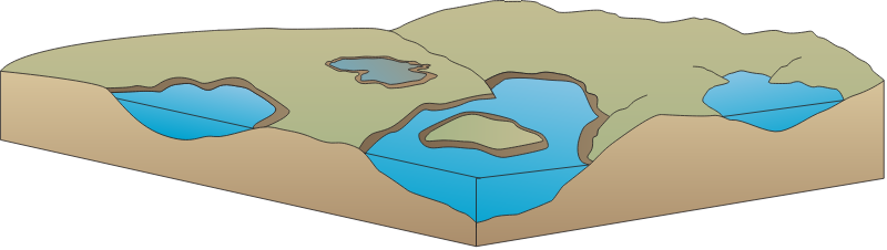 Ponds 3d Isolated