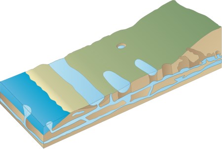 Karst 3d Cenotes Sinkholes and Coastal Lagoon